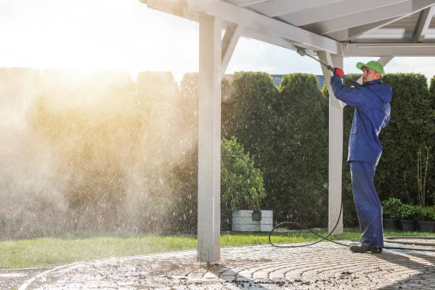 Pre-Holiday Cleaning in North Hornell, NY